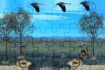 gregge di pecore - tux paint jigsaw puzzle