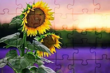 cores jigsaw puzzle