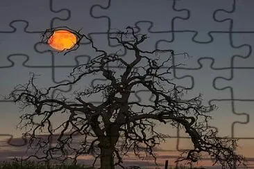 natural jigsaw puzzle