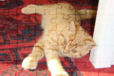 Chamiro jigsaw puzzle