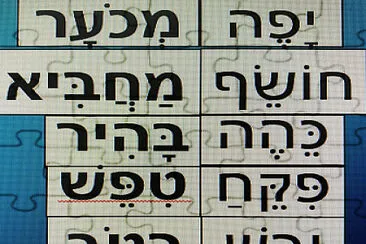 ×™×¤×”