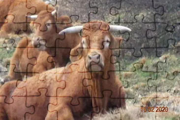 EMBE '... E ALLORA? jigsaw puzzle