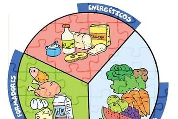 Clasificacion de alimentos