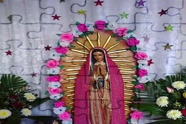 La rosa de Guadalupe