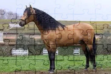 super H jigsaw puzzle