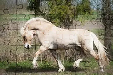 equino salvaje jigsaw puzzle