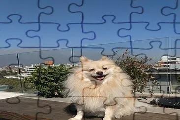 Waldope jigsaw puzzle