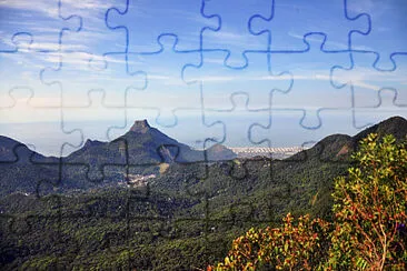 Floresta da Tijuca - Rio de Janeiro jigsaw puzzle