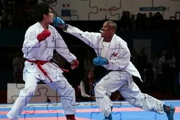 Karate jigsaw puzzle