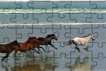 horses running along the beach