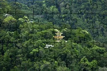 Floresta da Tijuca - RJ