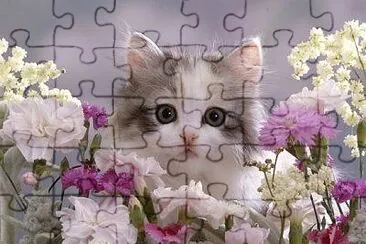 פאזל של Voici un puzzle chat