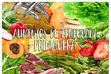 Alimentos de temporada PRIMAVERA