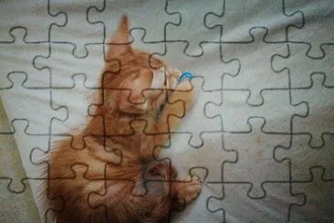 Cyvutzxy jigsaw puzzle