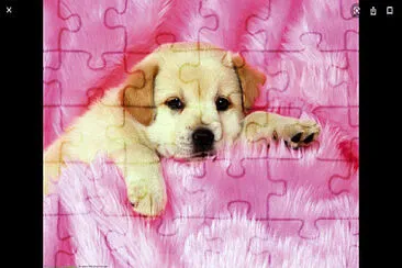 Hop you like it have fun jigsaw puzzle