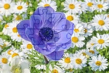 flower jigsaw puzzle