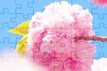 flower jigsaw puzzle