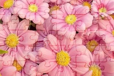 flower jigsaw puzzle