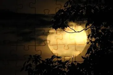 natural jigsaw puzzle