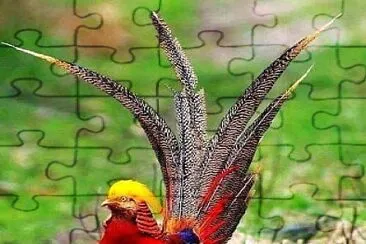 natural jigsaw puzzle