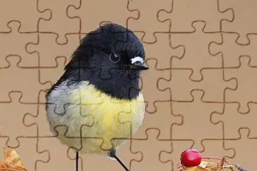 natural jigsaw puzzle