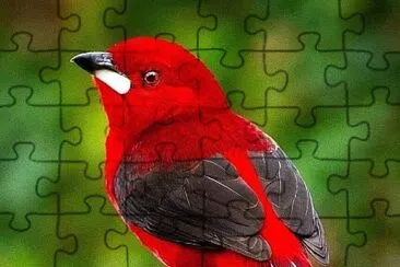 natural jigsaw puzzle