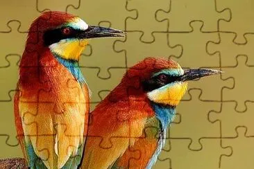 9 jigsaw puzzle