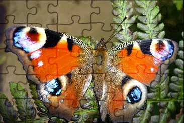 papillon jigsaw puzzle