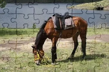 Foto jigsaw puzzle