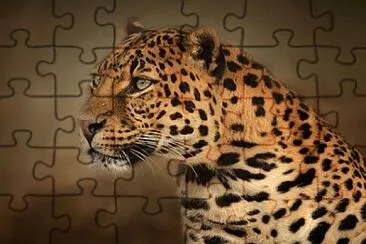 Foto jigsaw puzzle