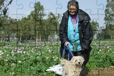 ×¢× ×”×›×œ×‘×” ×‘×©×“×” ×›×œ× ×™×•×ª