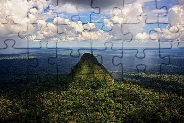 natural jigsaw puzzle