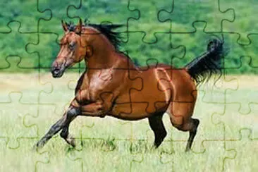 coloradito jigsaw puzzle