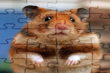 Baloo el hamster jigsaw puzzle