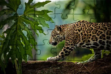 natural jigsaw puzzle