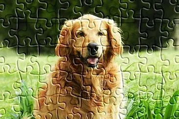 rompecabeza de perrito jigsaw puzzle