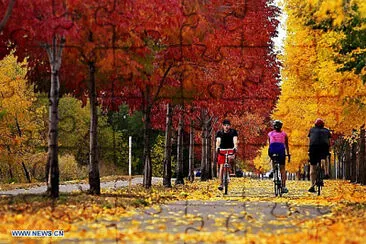 otoÃ±o jigsaw puzzle