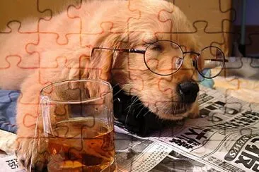 פאזל של CACHORRO INTELECTUAL