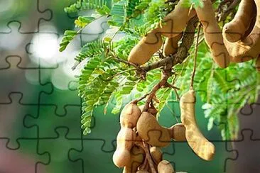 natural jigsaw puzzle