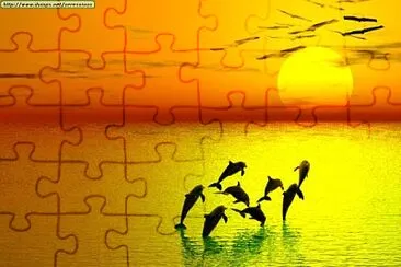 dolphin sun jigsaw puzzle