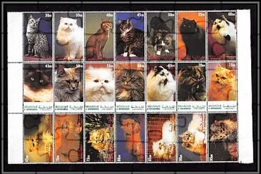 timbres de chats