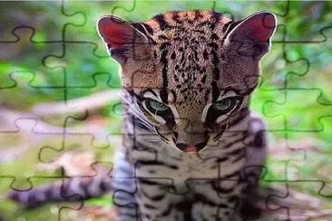 natural jigsaw puzzle