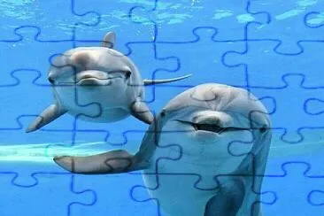 delfines jigsaw puzzle