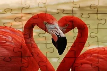 patos rojos jigsaw puzzle