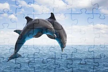 3Â°Ano jigsaw puzzle