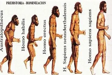 PROCESO DE HOMINIZACION