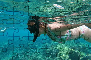 snorkel jigsaw puzzle