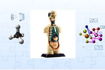 BIOELEMENTO-BIOMOLECULA jigsaw puzzle