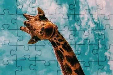 Friendly giraffe jigsaw puzzle