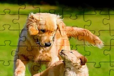 perros jigsaw puzzle